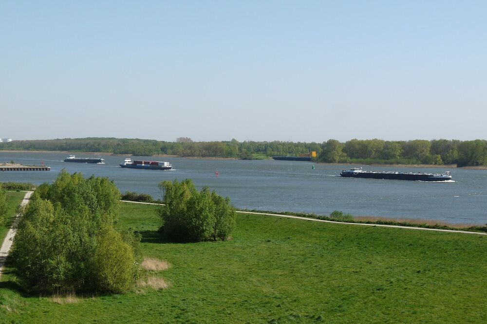 Groene uiterwaard met struiken en een wandelpad langs de Oude Maas bij Barendrecht, met drie vrachtschepen op het brede water en een beboste oever aan de overkant